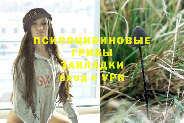 ПСИЛОЦИБИНОВЫЕ ГРИБЫ Абинск