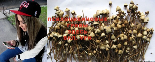 MDMA Абаза