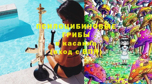 ПСИЛОЦИБИНОВЫЕ ГРИБЫ Абинск