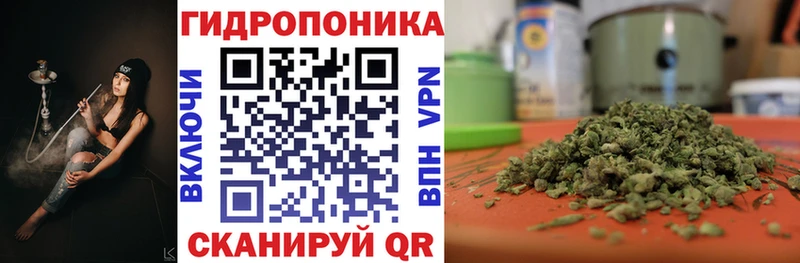 Шишки марихуана конопля  Верхоянск 